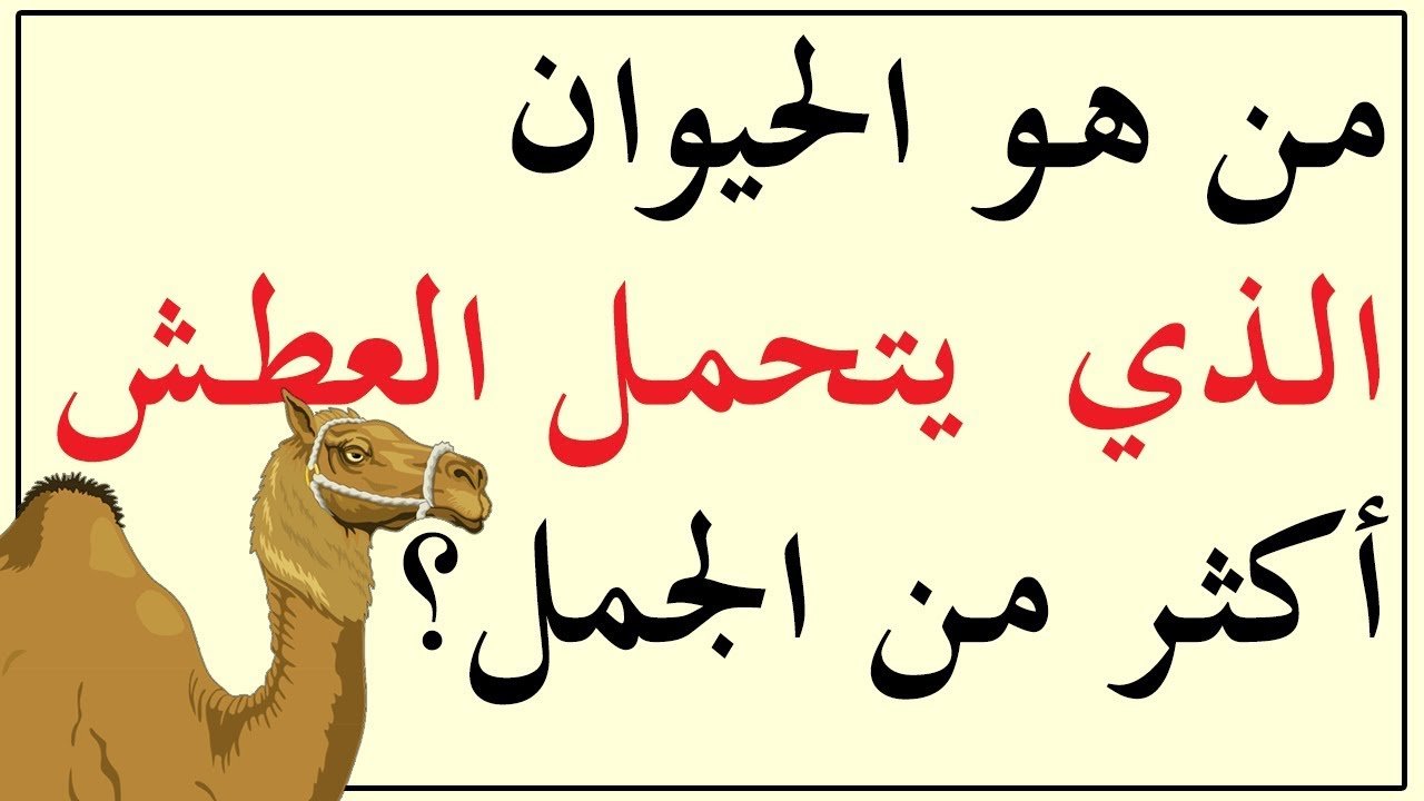 10 ألغاز صعبة مع الحل