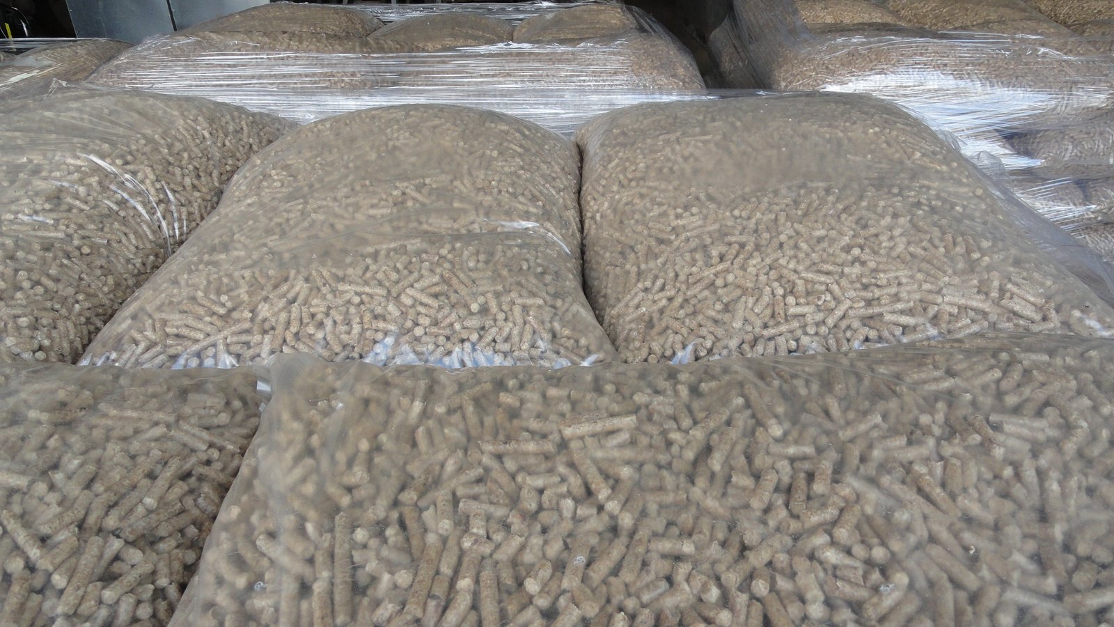 سعر شيكارة العلف 50 كيلو اليوم