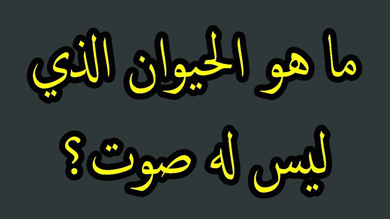 أسئلة عامة سهلة مع خيارات