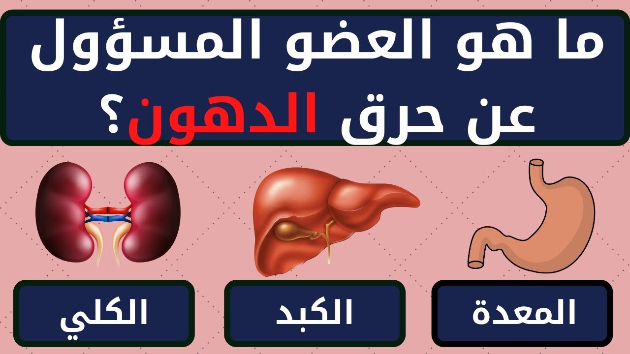 اسئلة معلومات عامة 