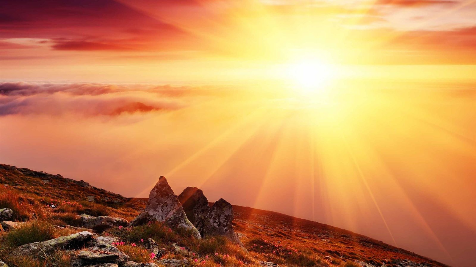 معلومات عن الشمس 
