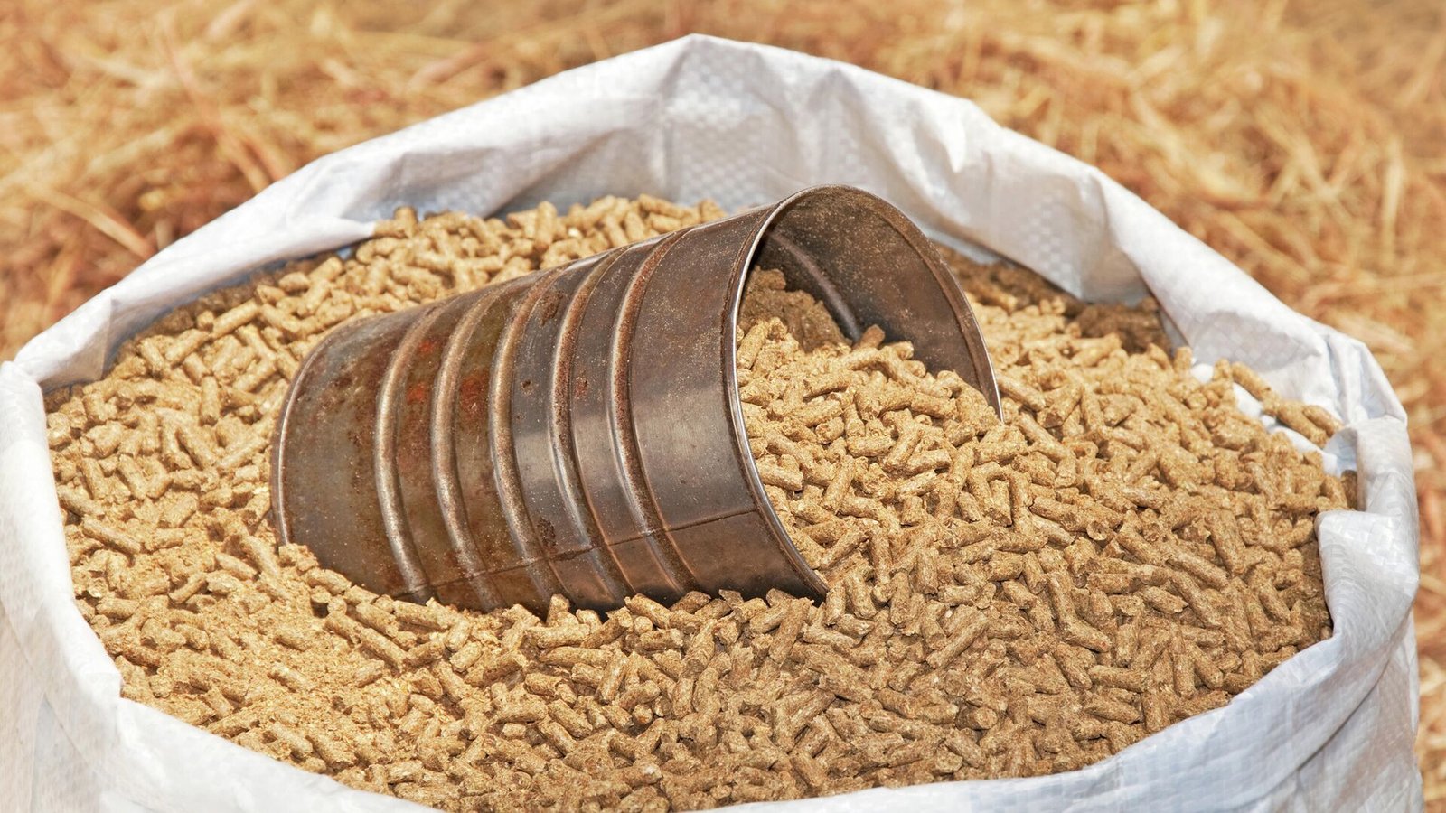 سعر شيكارة العلف 50 كيلو اليوم