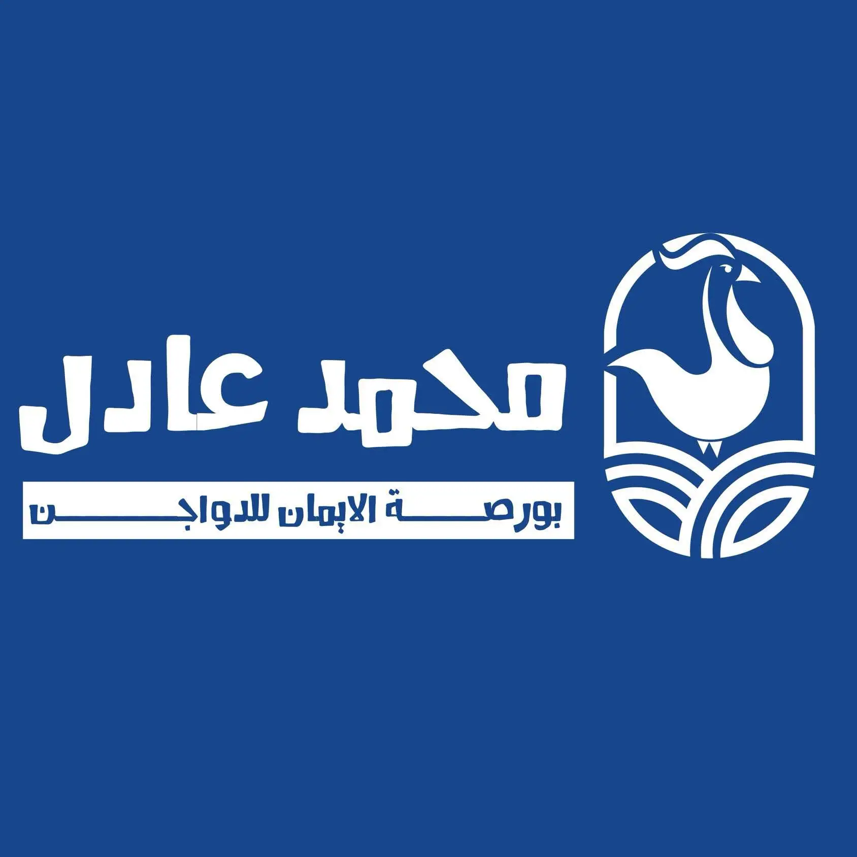 بورصة الدواجن محمد عادل