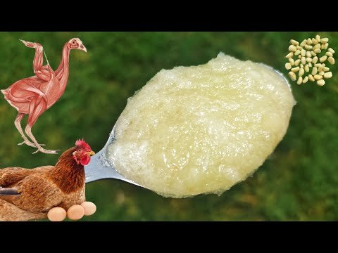 أقوى رافع مناعة للدواجن